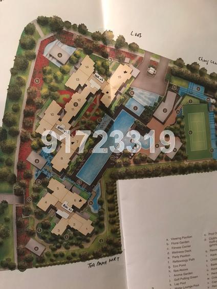 Trevista (D12), Condominium #156468762